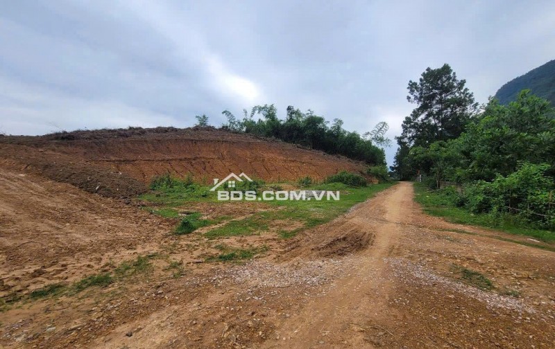 bán đất nghỉ dưỡng 1,6HA. 600k/m2. bám đường bê tông 50m, gần nghỉ dưỡng serena